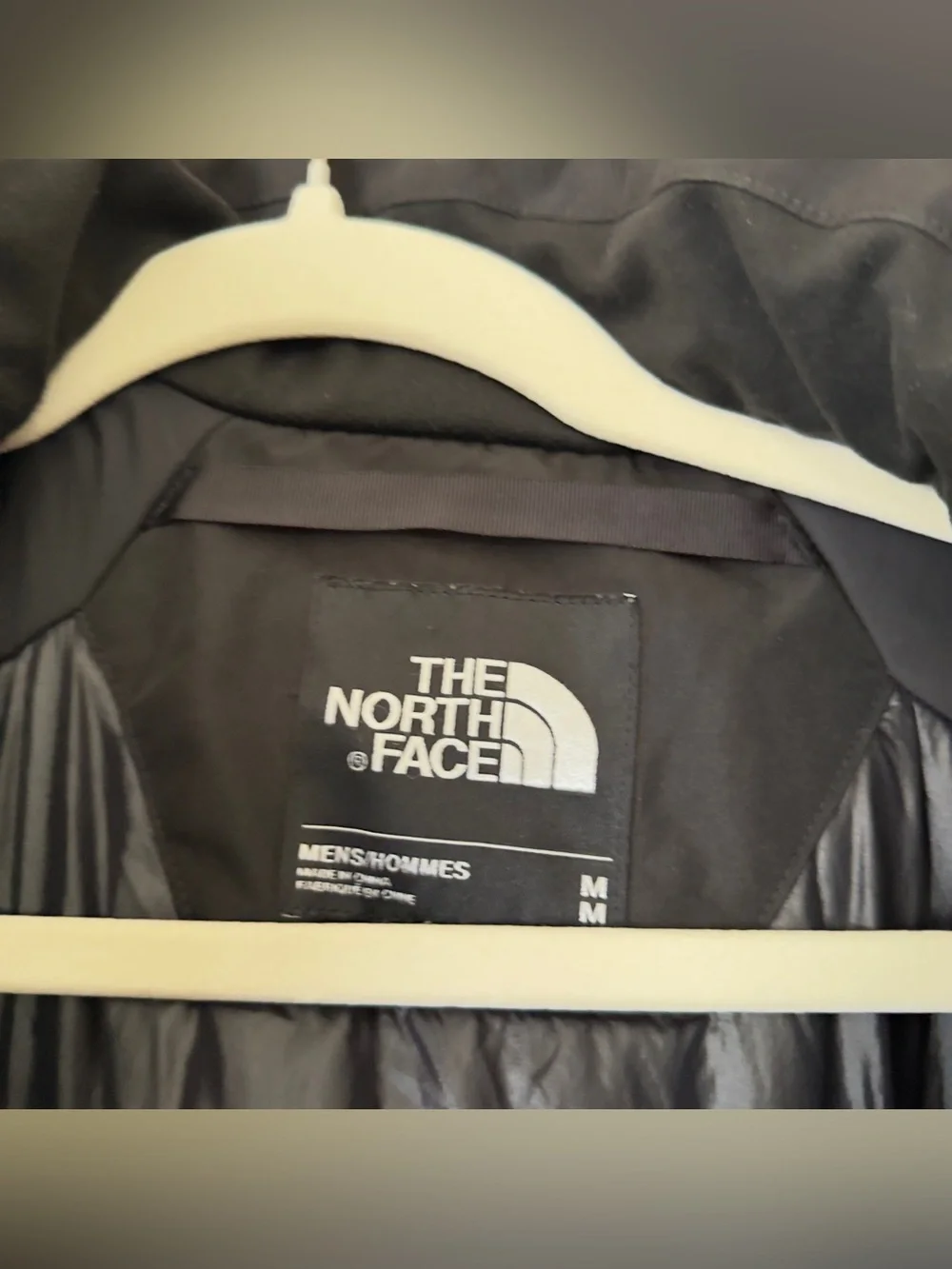 The north face ski goretex jacket